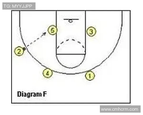 北京排球队快攻战术解析与实战应用探讨