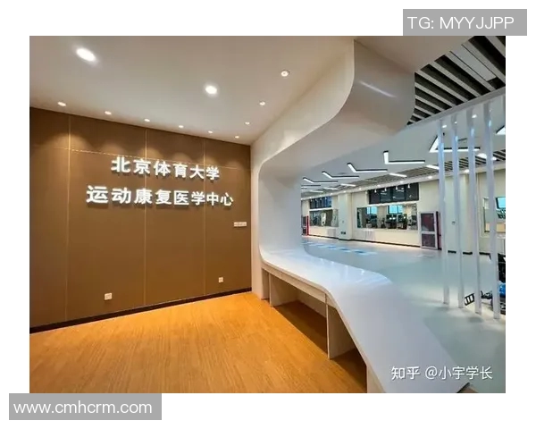 深入探讨北京足球队近期实力表现的数据分析与趋势解读