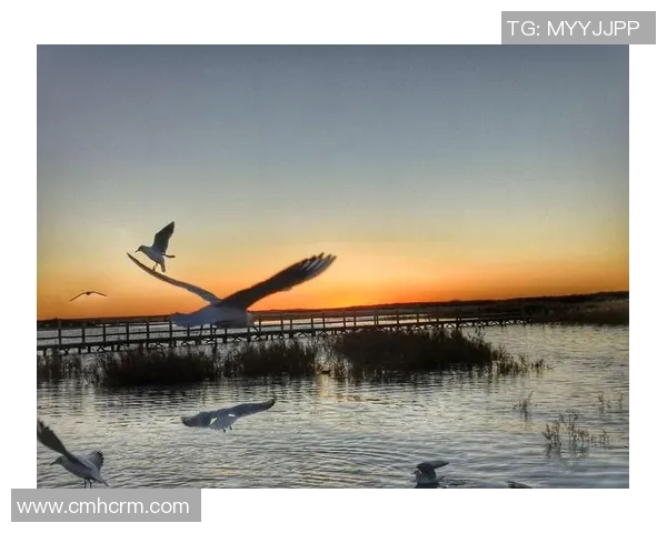 陈丽华与足球明星的缘分揭晓她的心动时刻与梦想追逐之旅