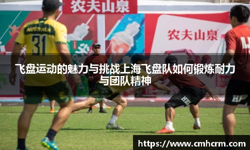 飞盘运动的魅力与挑战上海飞盘队如何锻炼耐力与团队精神