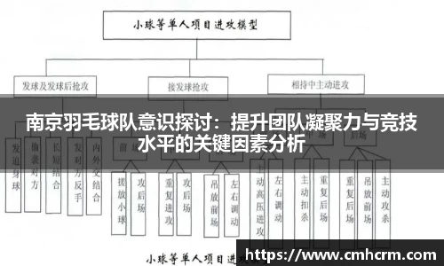 南京羽毛球队意识探讨：提升团队凝聚力与竞技水平的关键因素分析