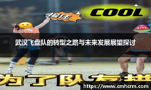 武汉飞盘队的转型之路与未来发展展望探讨